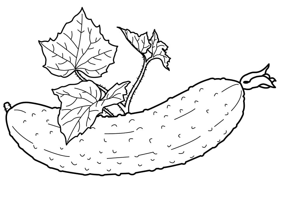 Desenho de Pepino para Colorir e Imprimir Pdf e Pintar