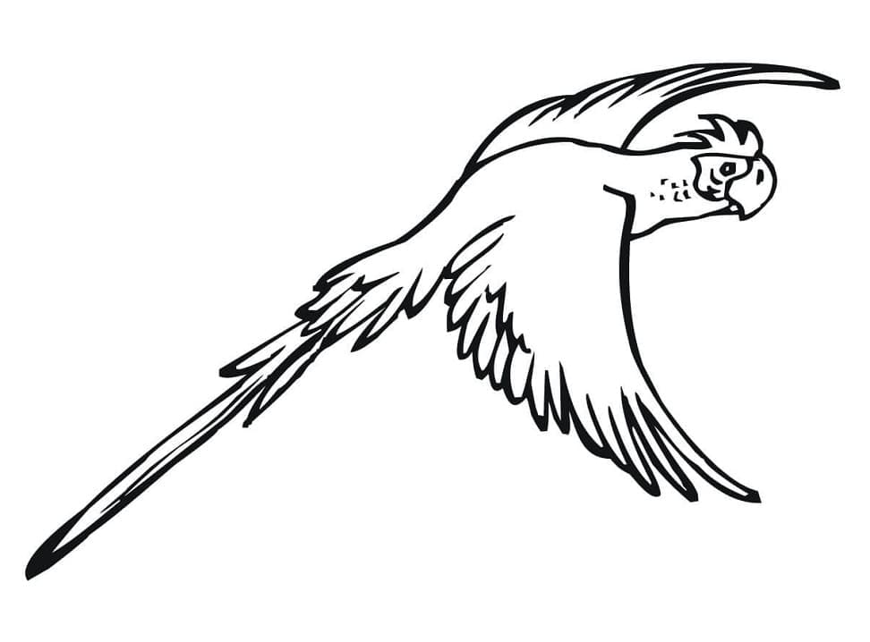 Desenho de Periquito Sentado no Galho para Colorir e Pintar