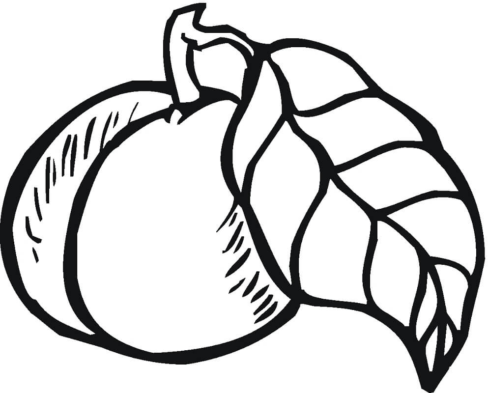 Desenho de Pêssego Fruta para Colorir e Imprimir e Pintar