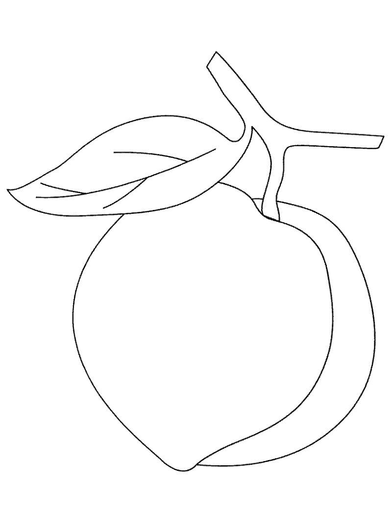 Desenho de Pêssego Fruta para Colorir Tinta Guache e Pintar