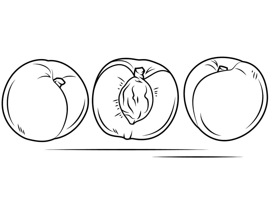 Desenho de Pêssego para Colorir Desenho Imprimivel e Pintar