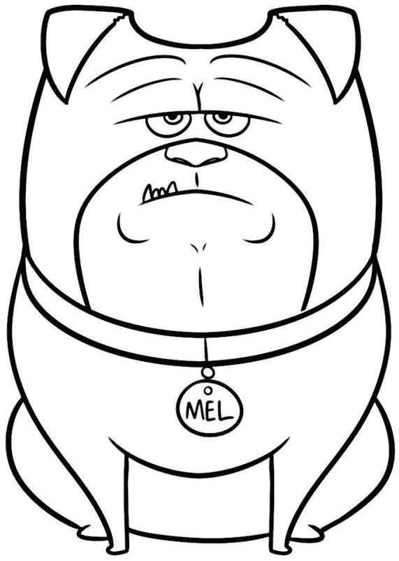 Desenho de Cachorro Mel a Vida Secretá dos Nossos Bichos para Colorir