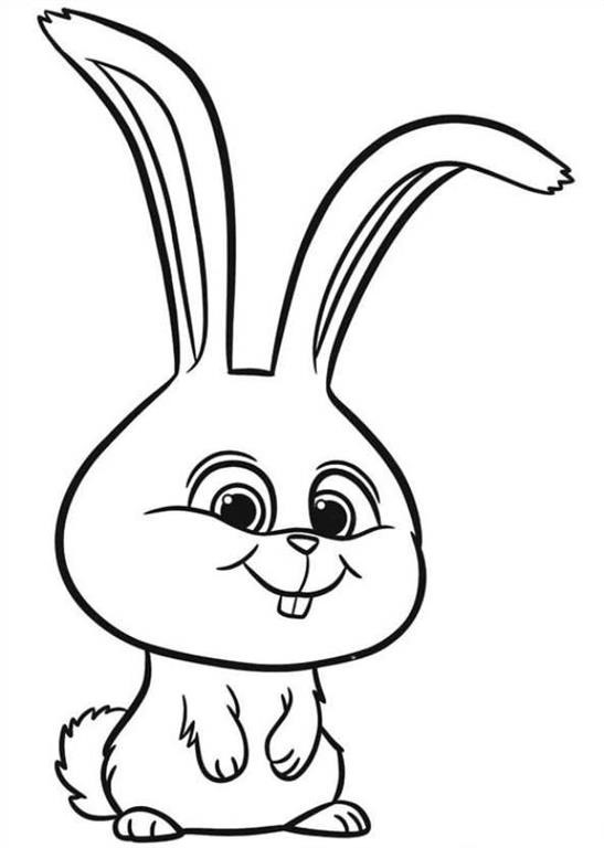 Desenho de Coelho Bola de Neve do Pets Feliz por Ir em uma Nova Aventurá para Colorir
