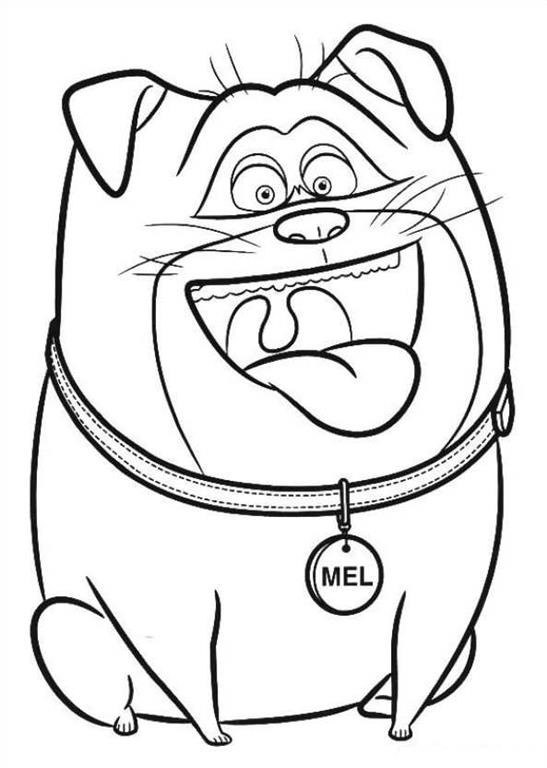 Desenho de Mel a Vida Secretá dos Nossos Bichos para Colorir