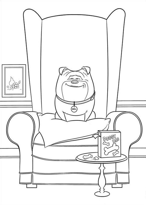 Desenho de Mel Sentada em Poltrona Sorrindo a Vida Secretá dos Nossos Bichos para Colorir