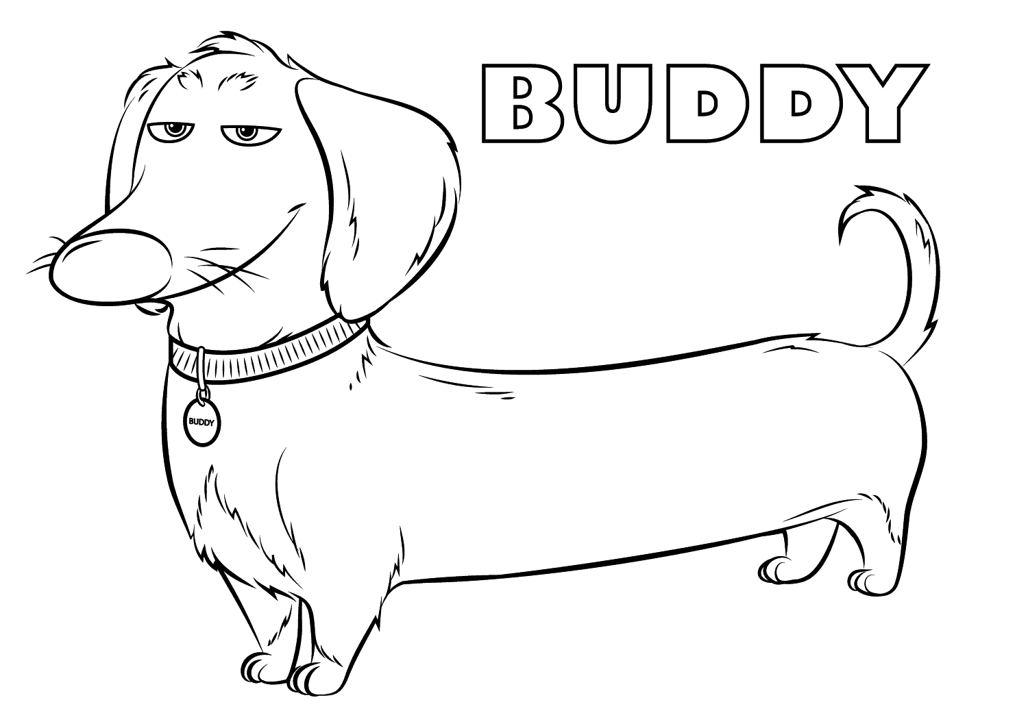 Desenho do Buddy a Vida Secretá dos Nossos Bichos para Colorir e Pintar