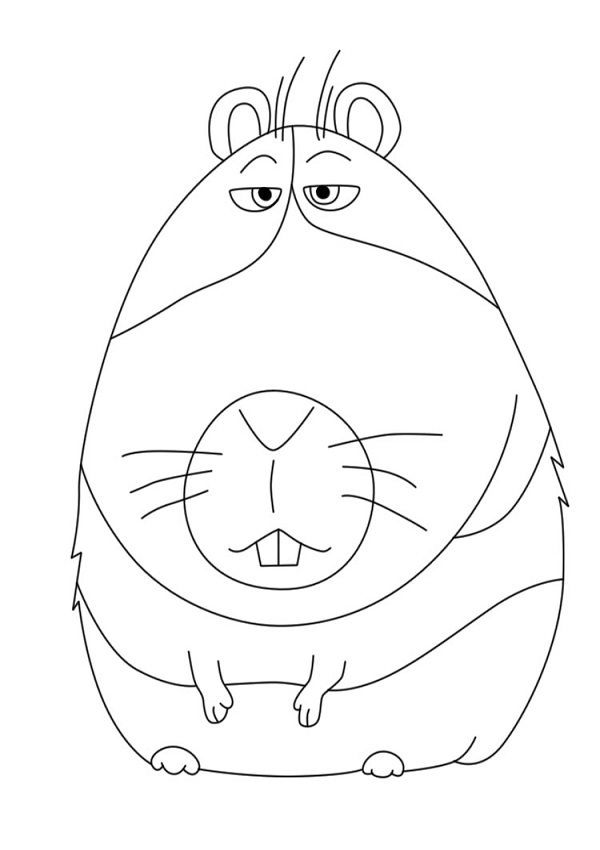 Desenho do Norman a Vida Secretá dos Nossos Bichos para Colorir e Pintar