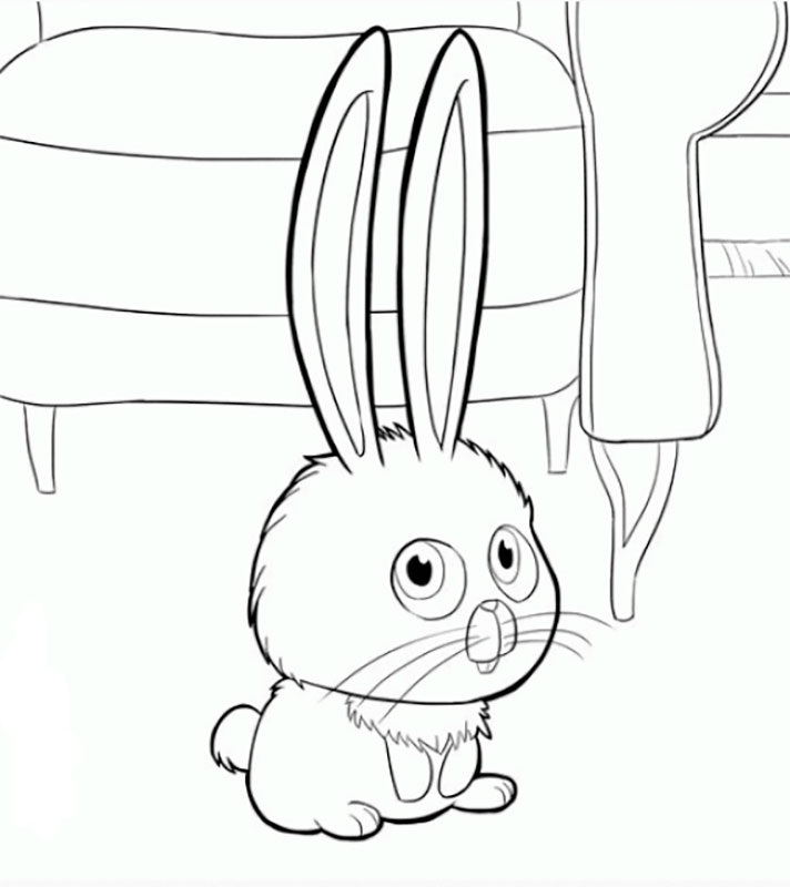 Desenho Imprimivel em Pdf de Colheo Bola de Neve do Pets e Pintar