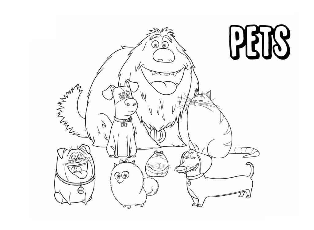 Desenho de Pets a Vida Secretá dos Bichos para Imprimir e Colorir e Pintar
