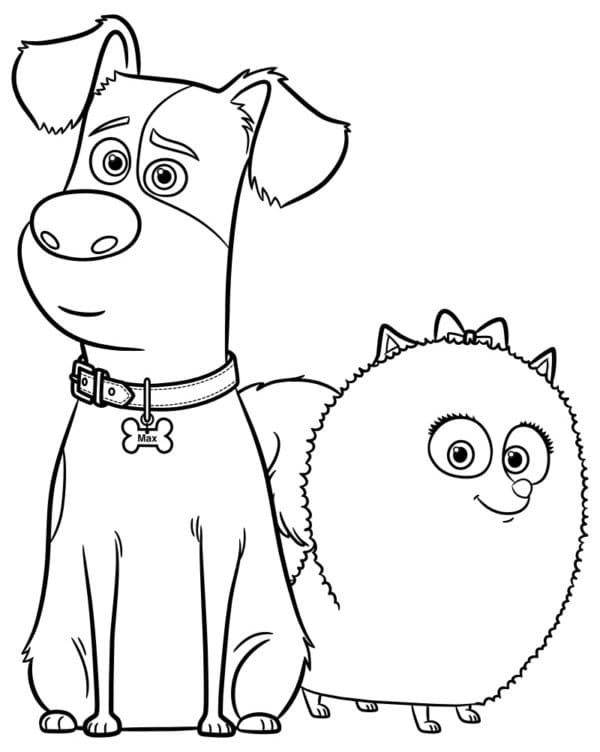 Desenho Gidget e Max para Colorir e Pintar