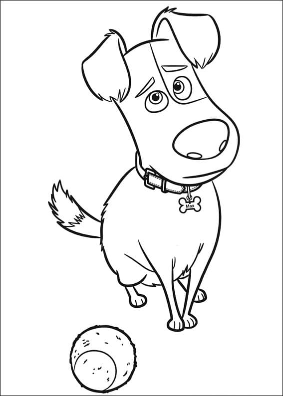 Desenho Max de Pets para Colorir e Pintar