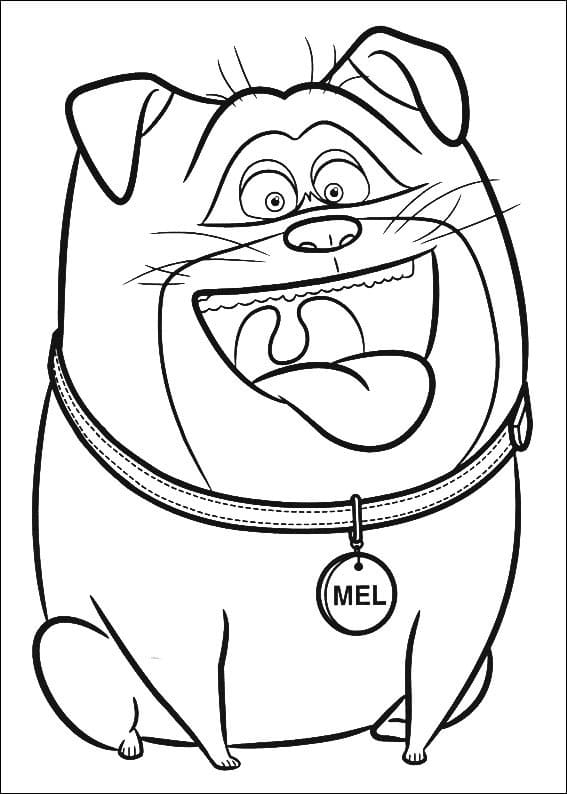 Desenho Mel de Pets para Colorir e Pintar