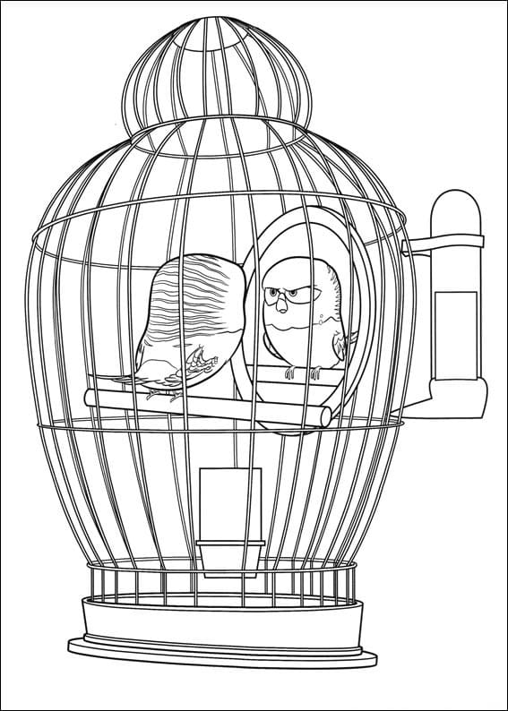 Desenho Sweetpea de Pets para Colorir e Pintar