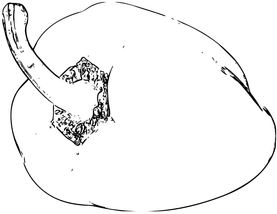 Desenho de Pimentão Pdf Imprimivel para Colorir e Pintar
