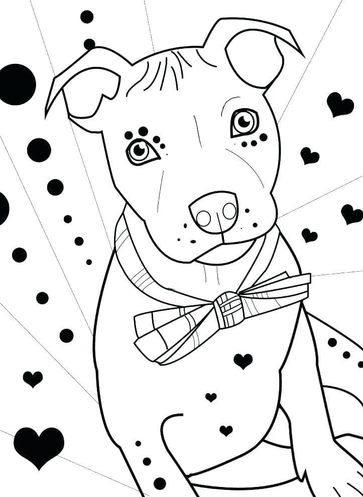Desenho de Adorável Pitbull para Colorir e Pintar