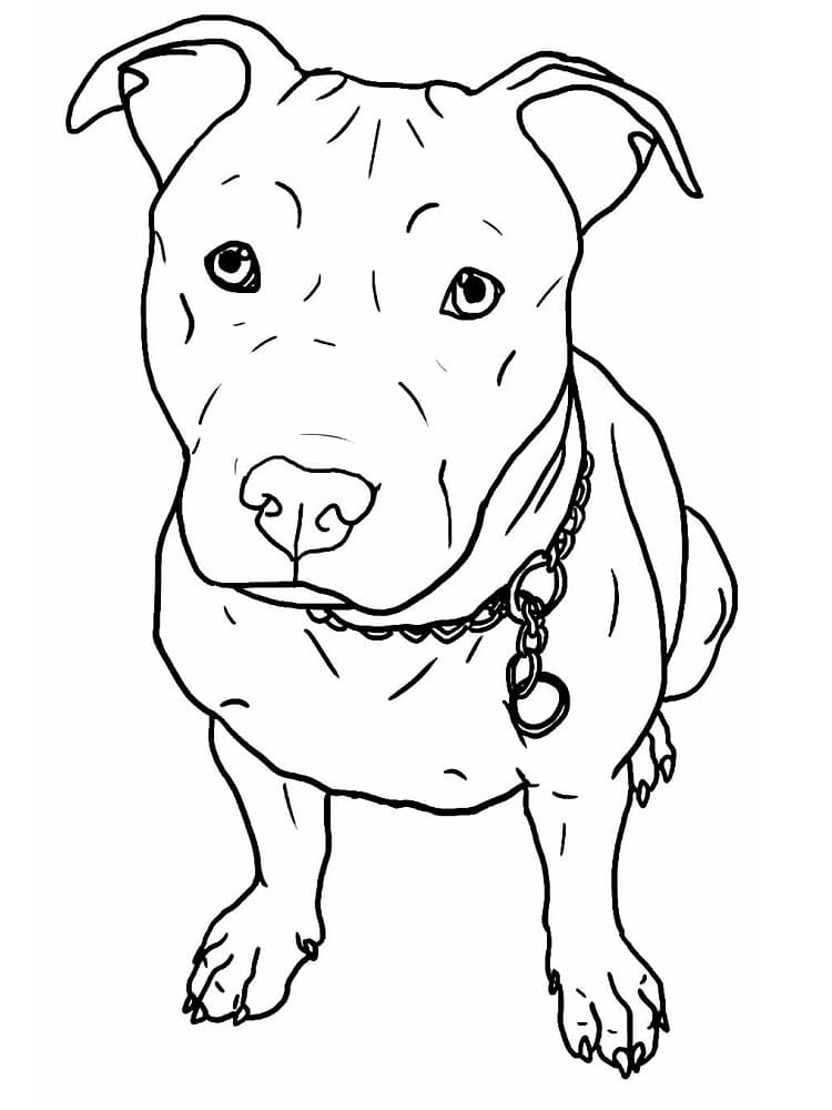 Desenho de Pitbull Fofo para Colorir e Pintar