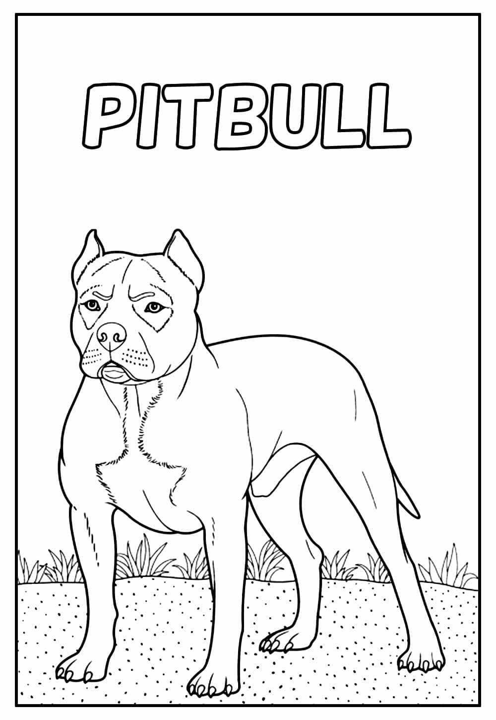 Desenho de Pitbull Grátis para Colorir e Pintar