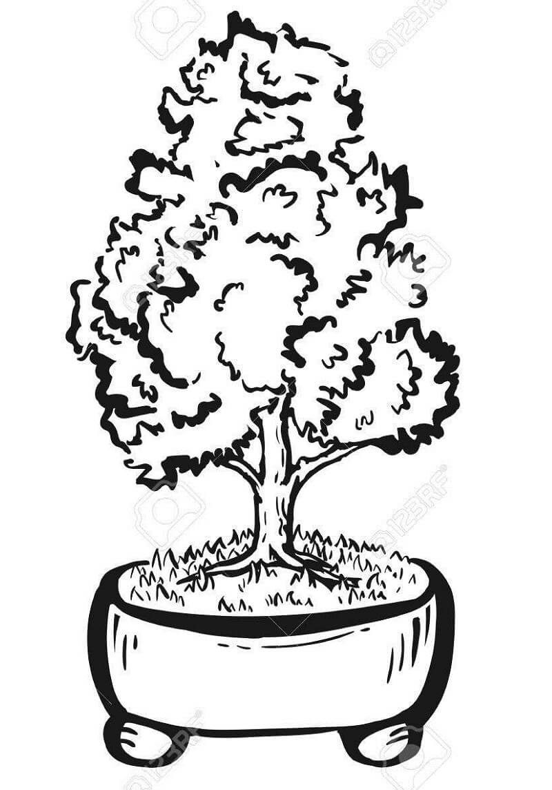 Desenho de Plantá de Grátis para Colorir e Pintar