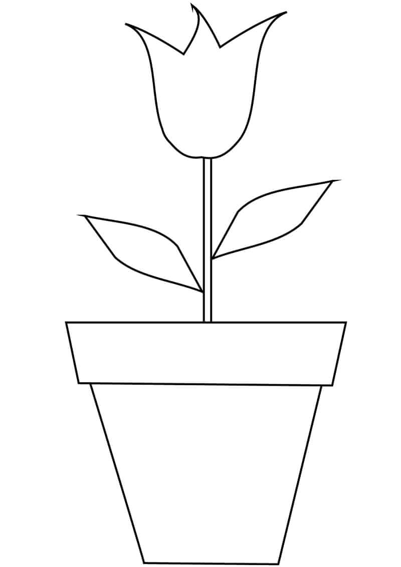 Desenho de Plantá Grátis Download para Colorir e Pintar