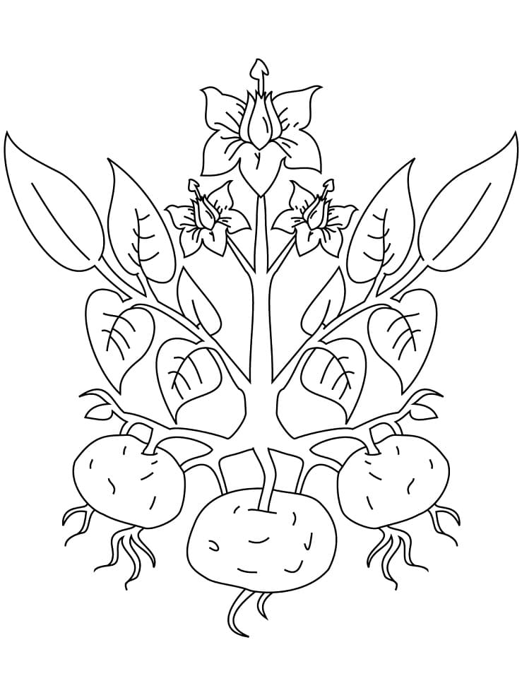 Desenho de Plantá para Colorir Online Pdf e Pintar