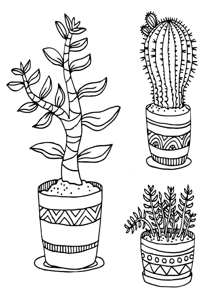 Desenho de Plantá para Colorir Pdf Imprimivel e Pintar