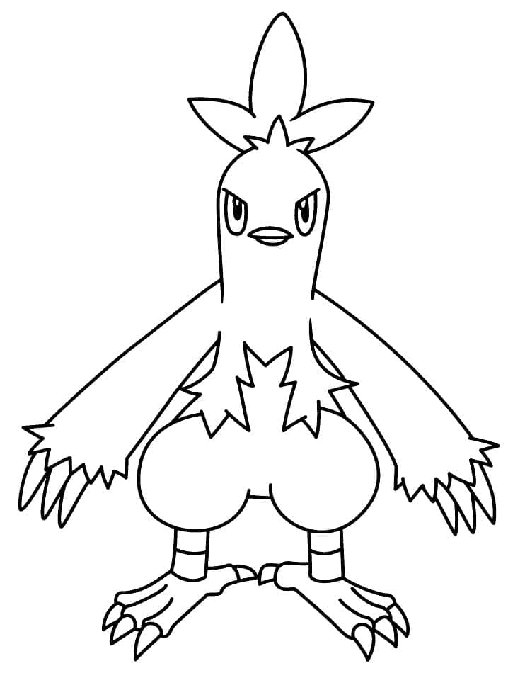 Desenho de Combusken Pokemon para Colorir e Pintar