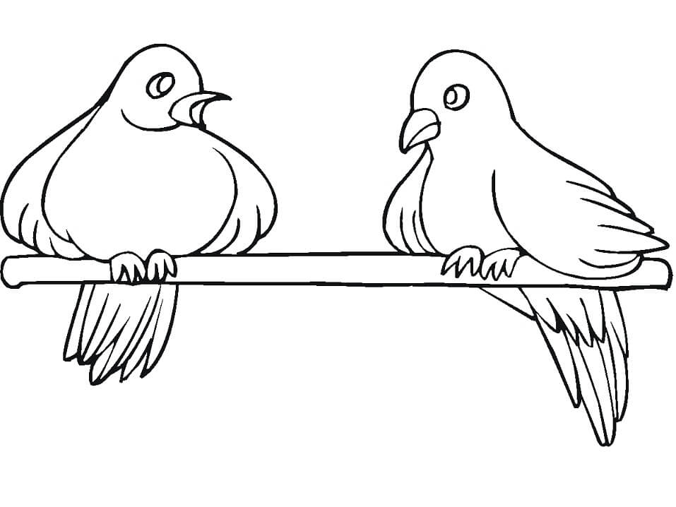 Desenho de Pombo para Imprimir Pdf Grátis e Pintar