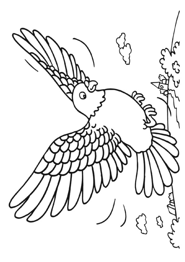 Desenho de Pombo Pdf para Colorir e Pintar