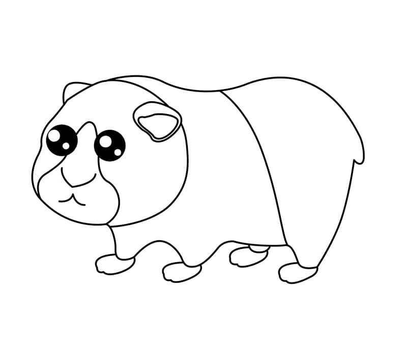 Desenho de Porquinho da Índia Pdf Imprimivel para Colorir e Pintar