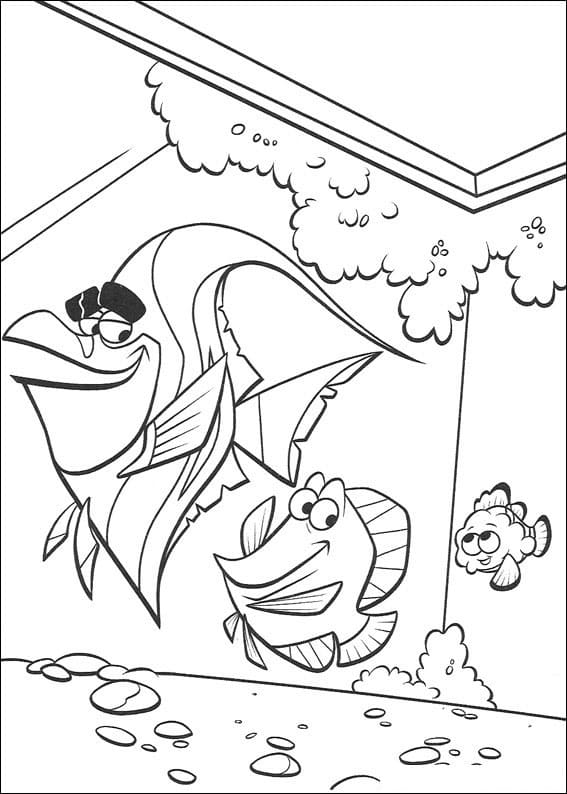 Desenho de Procurando Nemo Imprimivel para Imprimir e Colorir e Pintar