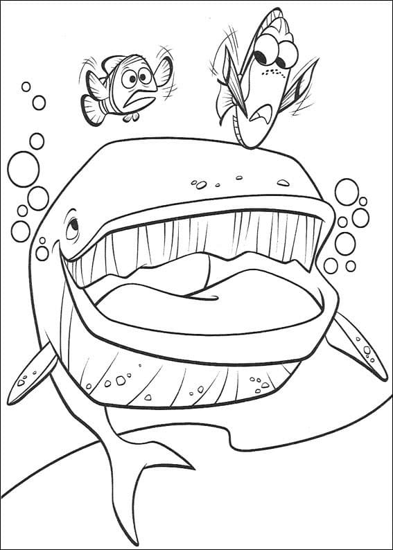 Desenho de Procurando Nemo para Imprimir Pdf Grátis e Pintar