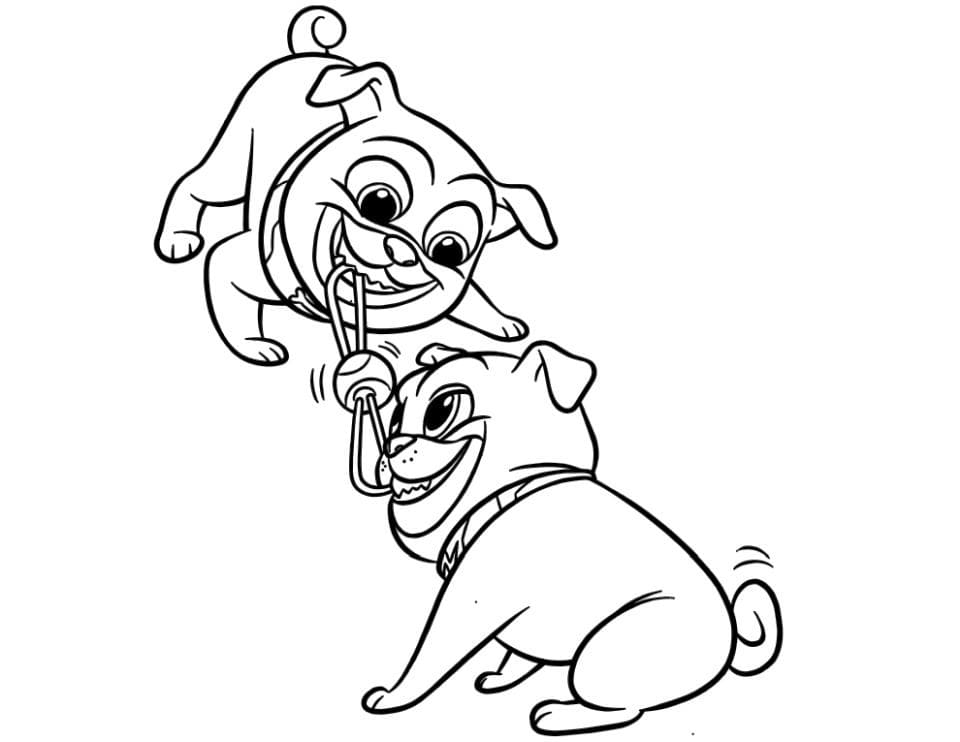 Desenho de Bingo com Rolly Puppy Dog Pals para Colorir e Pintar
