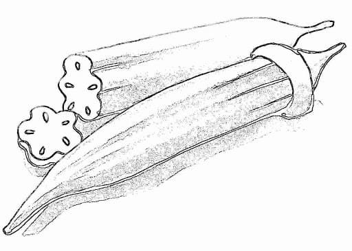 Desenho de Quiabo para Crianças para Colorir e Pintar