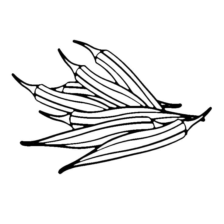 Desenho de Quiabos para Colorir e Pintar