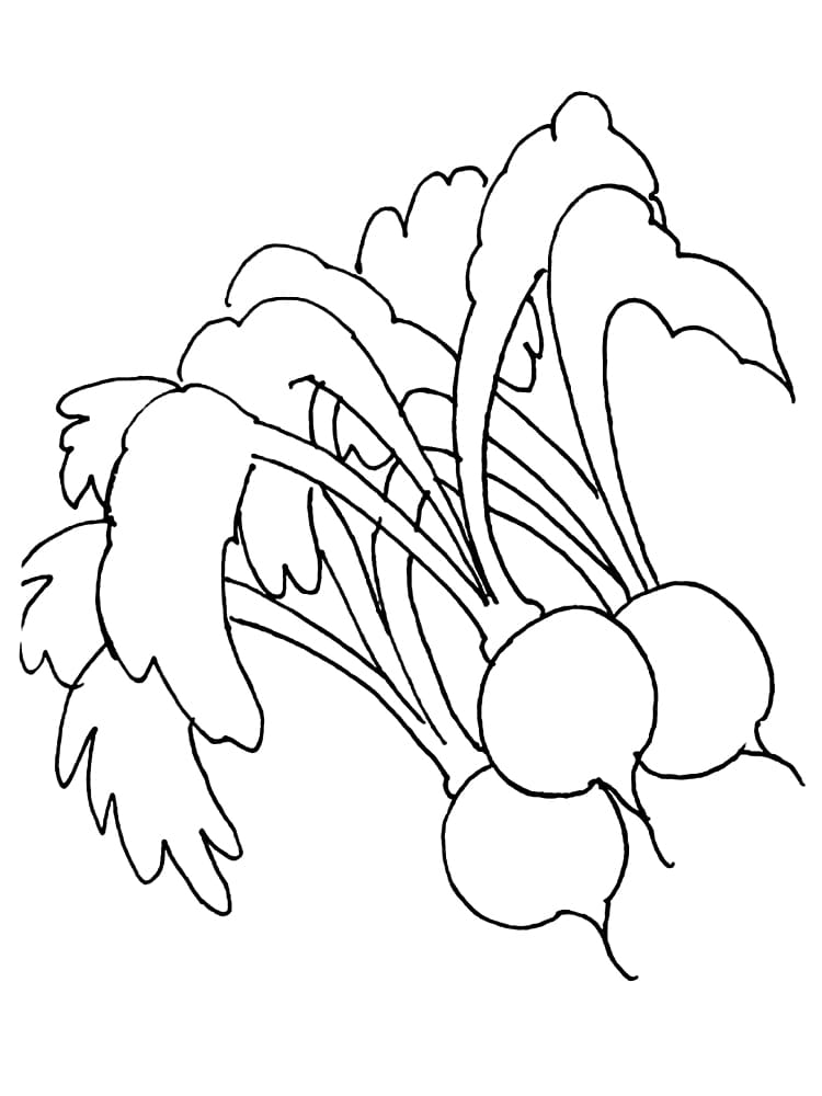 Desenho Imprimivel em Pdf de Rabanetes para Pintar