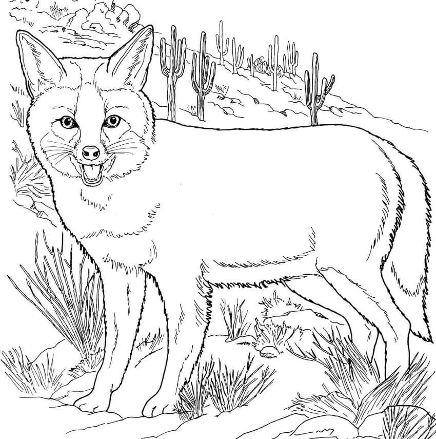 Desenho de Raposa para Colorir Pdf Grátis e Pintar