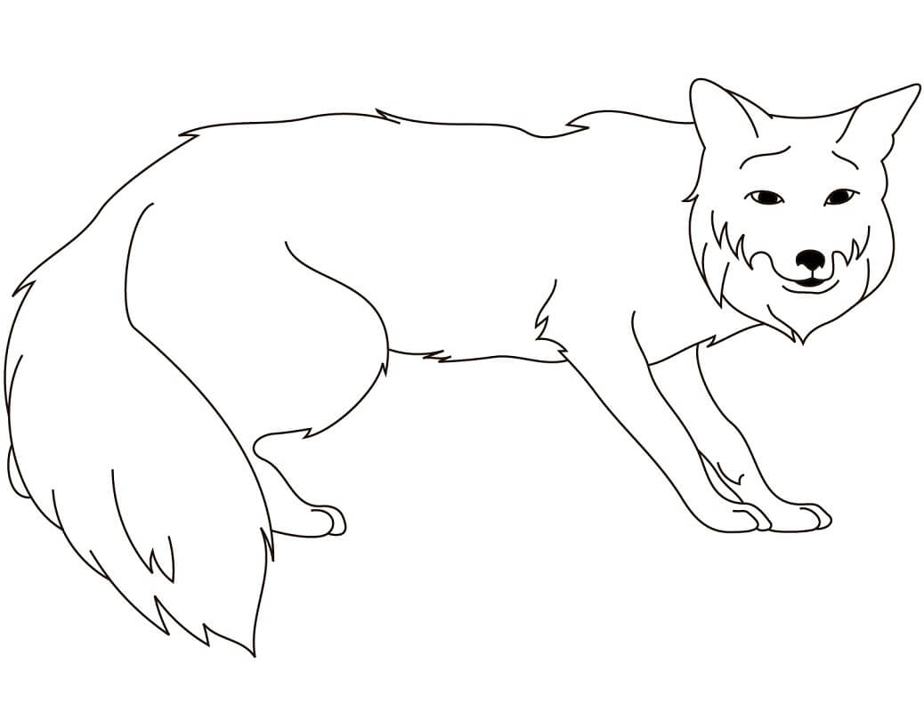 Desenho de Raposa Pdf para Colorir Grátis e Pintar