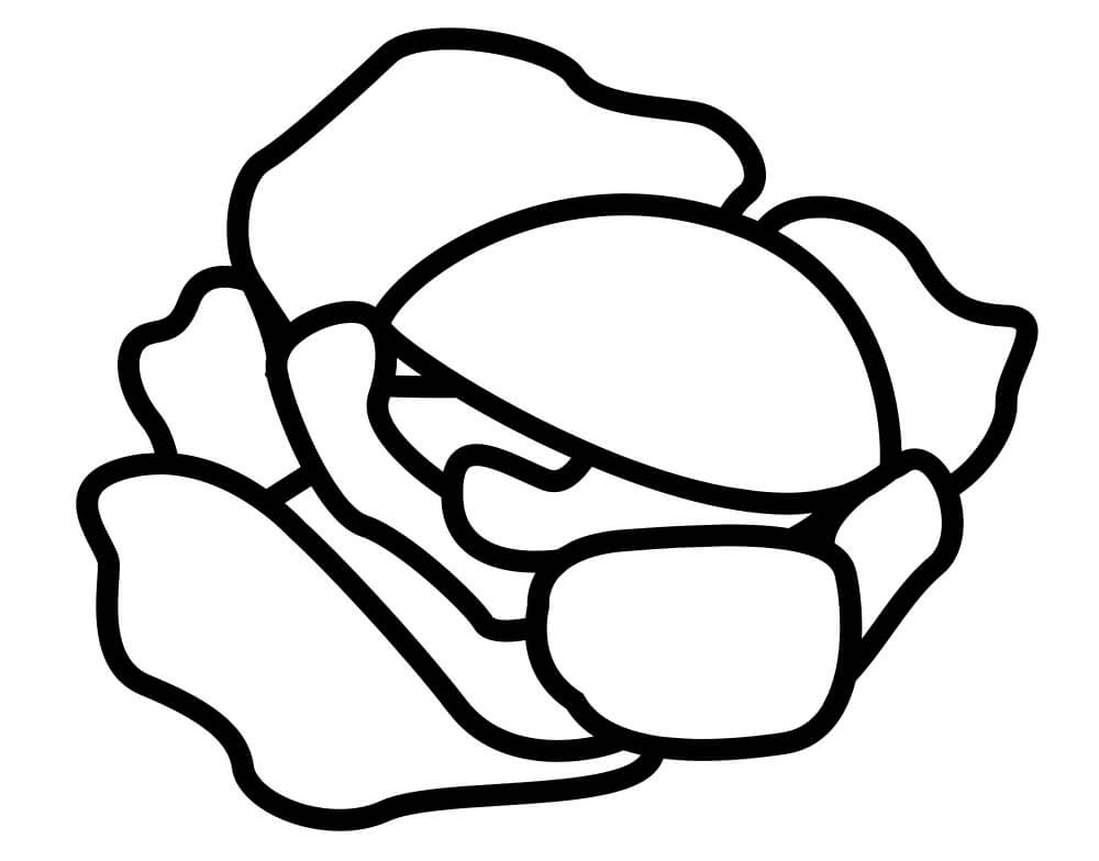 Desenho de Repolho para Imprimir Pdf Grátis e Pintar