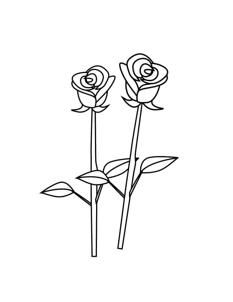 Desenhos de Duas Rosas para Colorir e Pintar