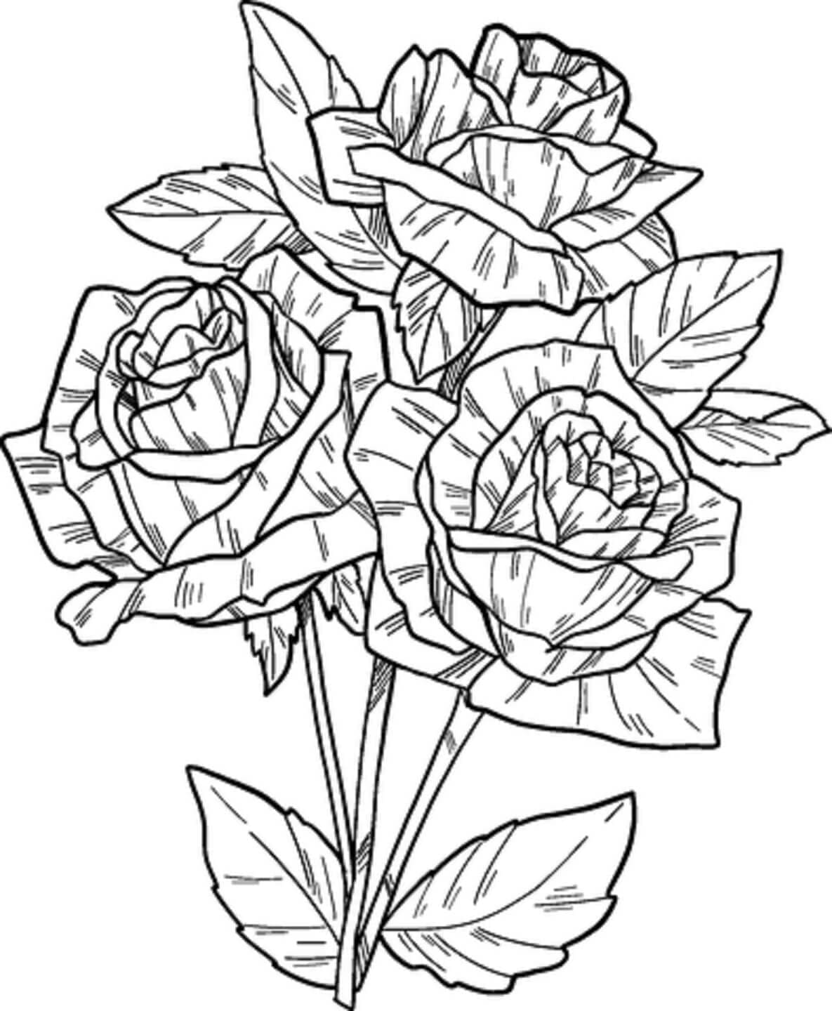 Desenhos de Flores Rosas para Colorir e Pintar