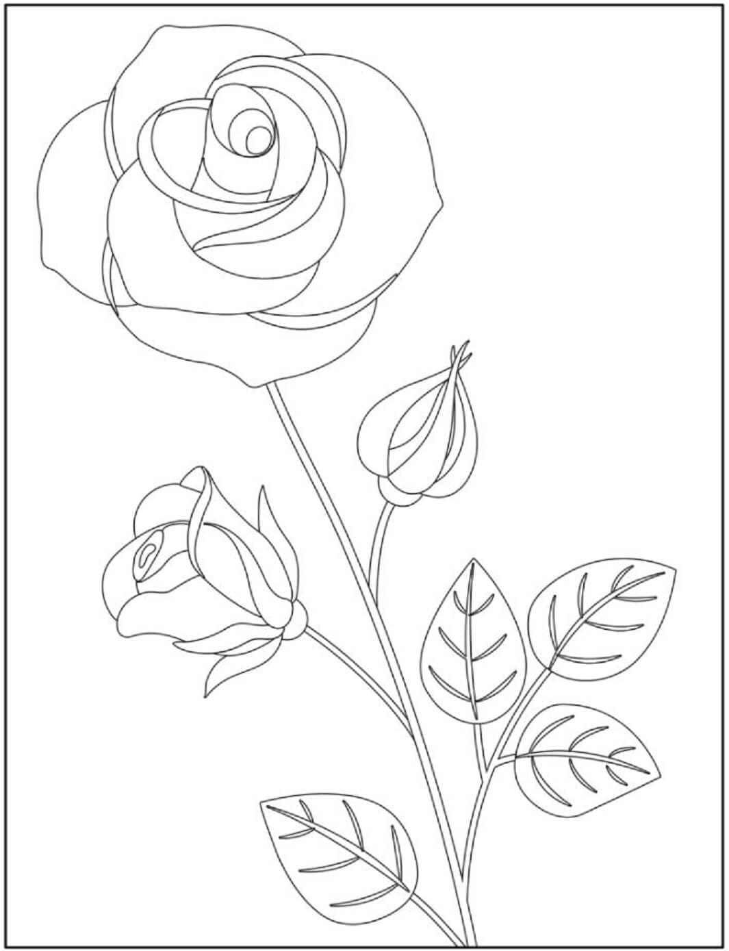 Desenhos de Imprimivel Rosa para Colorir e Pintar