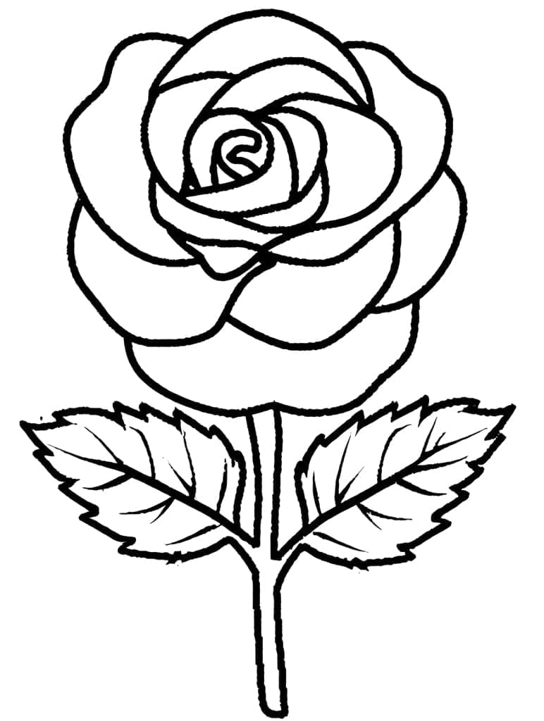 Desenhos de Rosa Grátis para Crianças para Colorir e Pintar