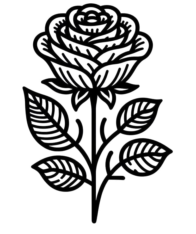 Desenhos de Rosa Grátis para Colorir e Pintar