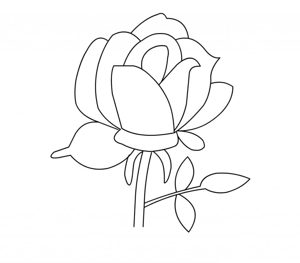 Desenhos de Rosa Muito Simples para Colorir e Pintar
