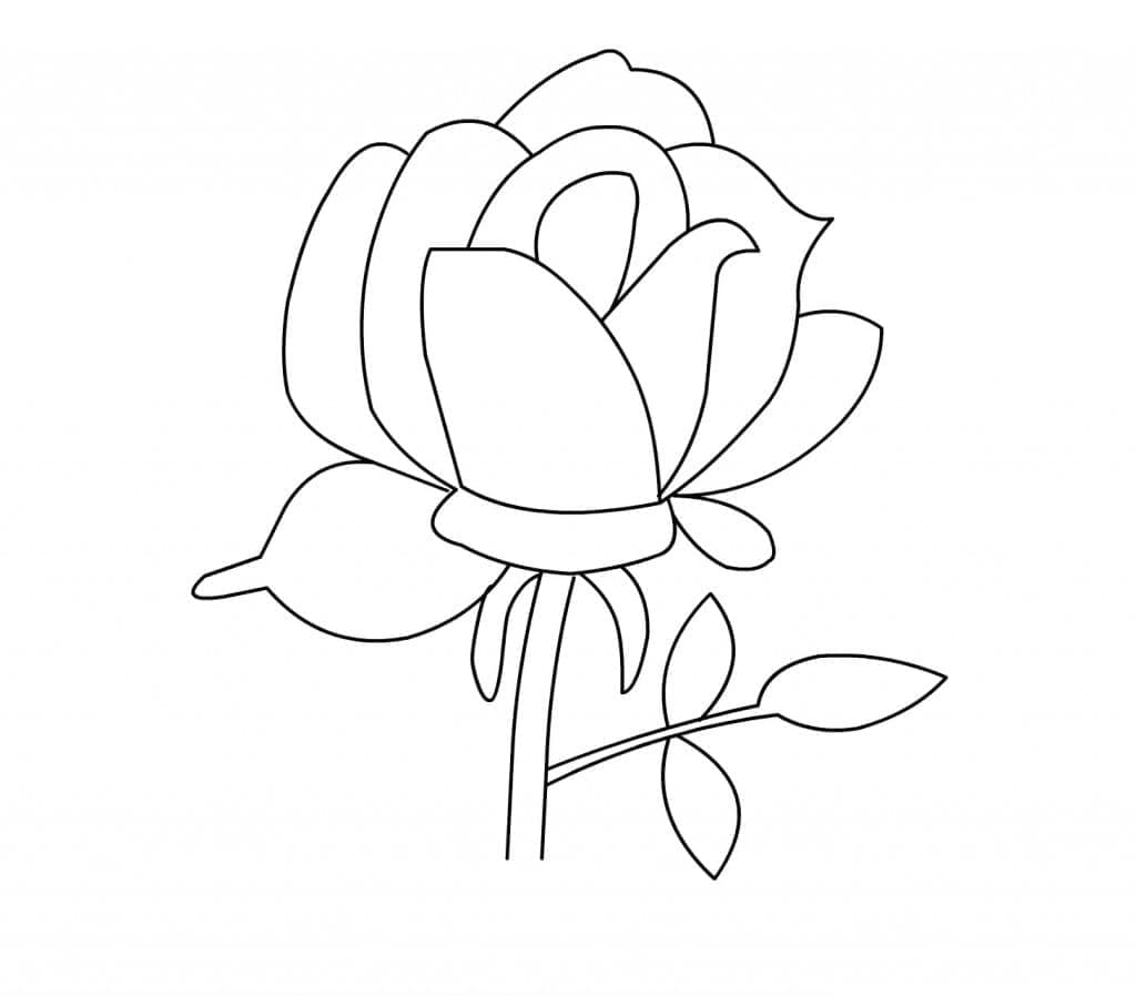 Desenhos de uma Rosa Muito Simples para Colorir e Pintar