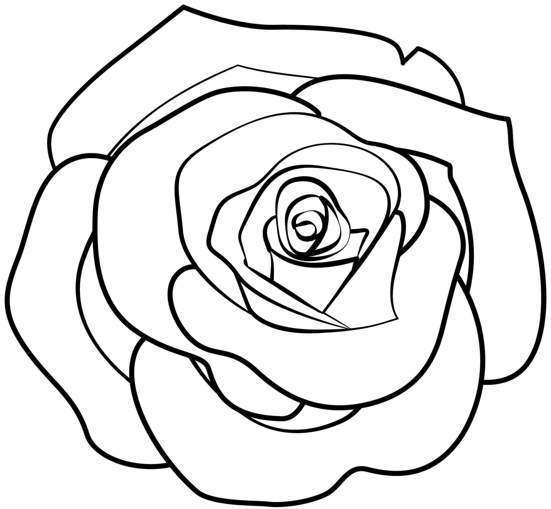 Desenhos de uma Rosa Simples para Colorir e Pintar