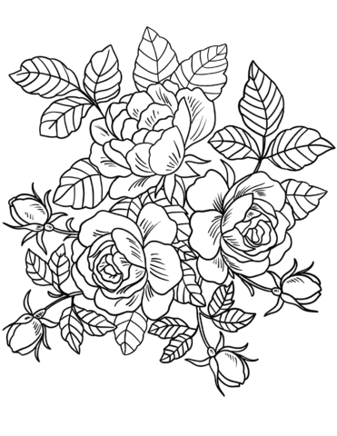 Desenho de Buque de Rosas para Pintar