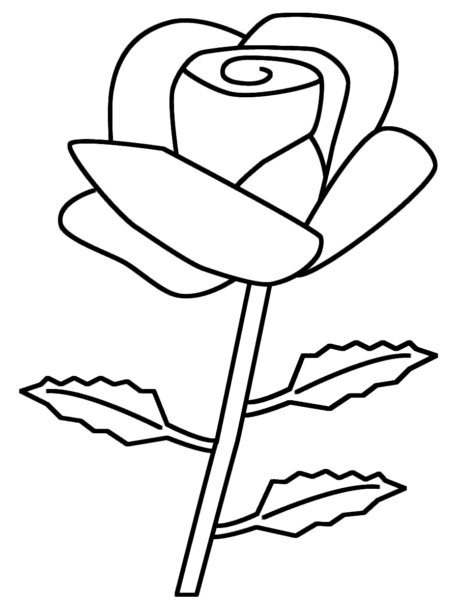 Desenho de uma Rosa Muito Simples para Baixar e Pintar
