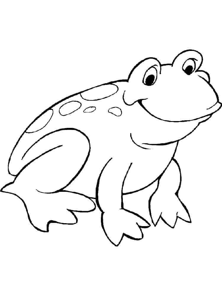 Desenho de Sapo Sorridente para Colorir e Pintar