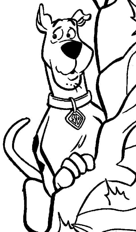 Desenho de Scooby Doo Imprimivel para Crianças para Colorir e Pintar